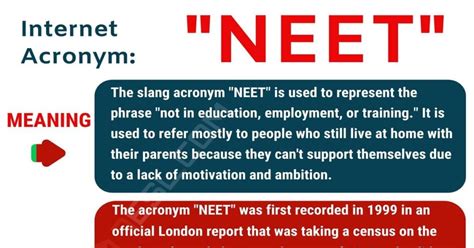 neet meaning slang